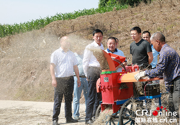 图片默认标题_fororder_大安区委副书记、区长杨斌（左）调研秸秆禁烧工作