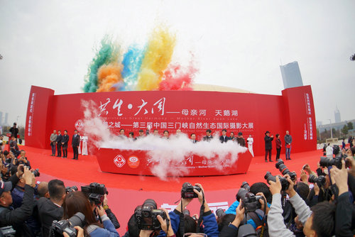 The City of Swan - The 3rd China Sanmenxia Natural Ecology International Photography Exhibition kicked off