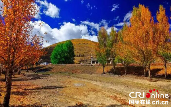 图片默认标题_fororder_稻城秋色