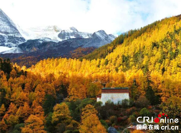 图片默认标题_fororder_稻城秋色3