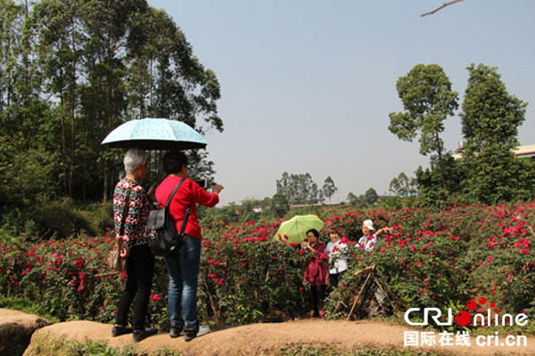 图片默认标题_fororder_前往游玩的游客