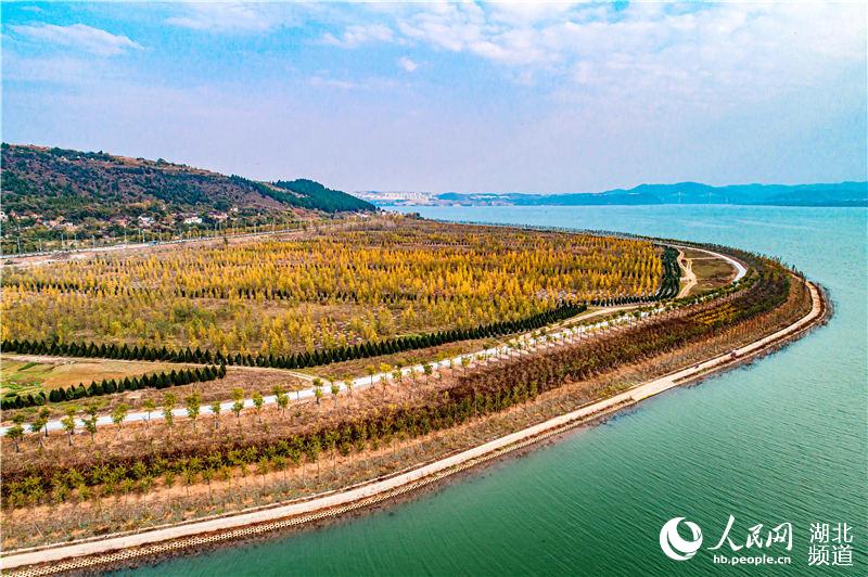 湖北郧阳沿江生态屏障成为守护“北方水缸”的“净化器”