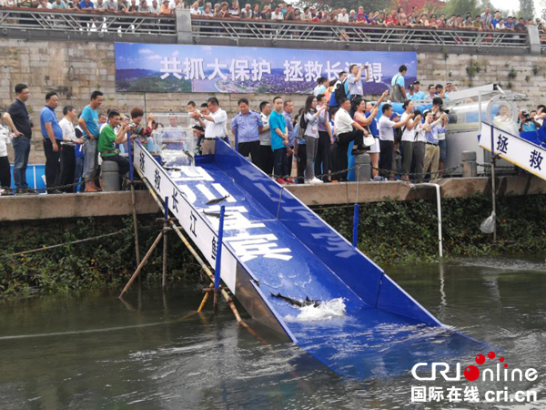 图片默认标题_fororder_放流现场--摄影张春元