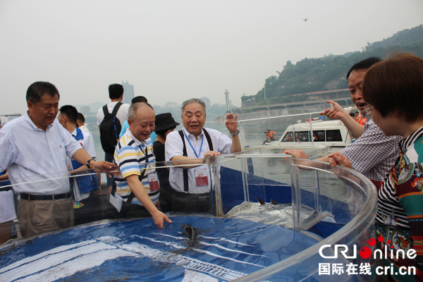 图片默认标题_fororder_放流现场-摄影张勇