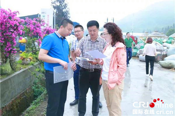 图片默认标题_fororder_调研组一行现场调研