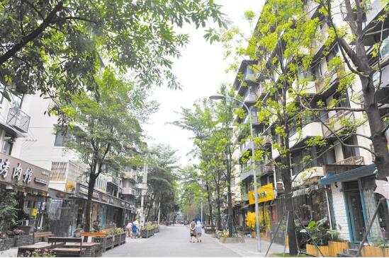 （焦点图，导航成都，移动端轮播图）花卉绿植处处是景 成都首个花园式特色街区亮相