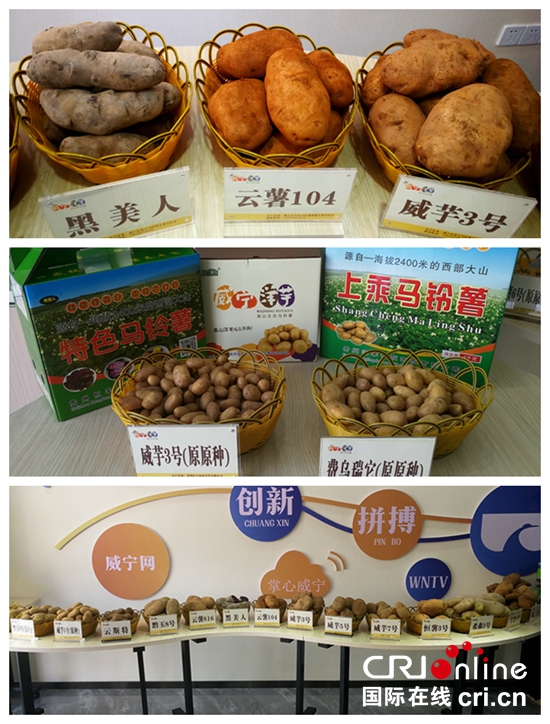 贵州威宁：我国第一支马铃薯产销价格指数正式发布