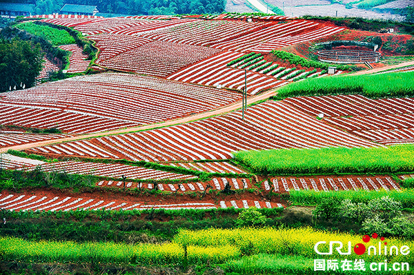 图片默认标题_fororder_色彩斑斓的红土地（摄影-廖志全）
