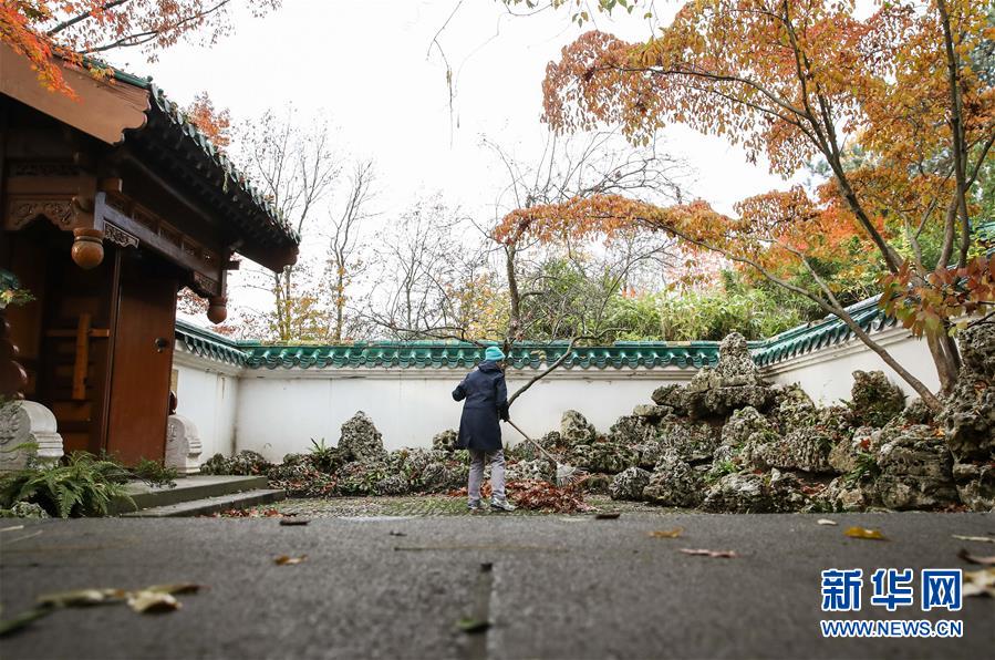 新华网■守护鲁尔河畔中国园林的德国志愿者
