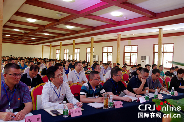 图片默认标题_fororder_推进会现场-（摄影-何芳）