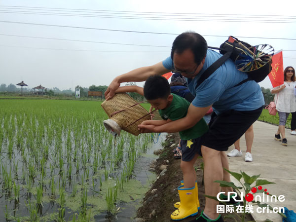 图片默认标题_fororder_2