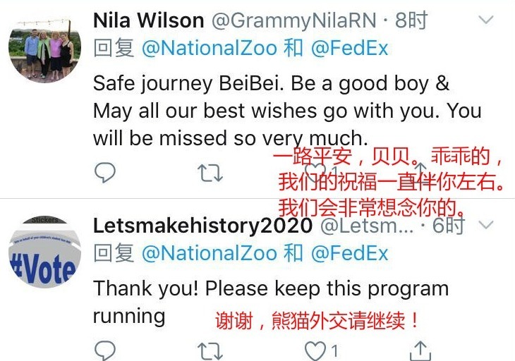 「中国日报网」【中国那些事儿】旅美熊猫贝贝回国 美国粉丝：我