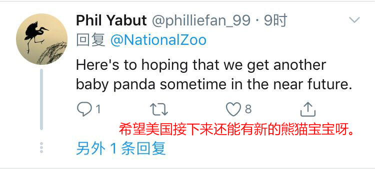 「中国日报网」【中国那些事儿】旅美熊猫贝贝回国 美国粉丝：我