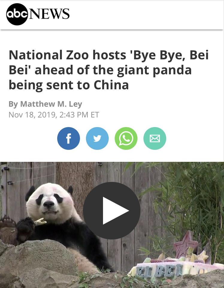 「中国日报网」【中国那些事儿】旅美熊猫贝贝回国 美国粉丝：我