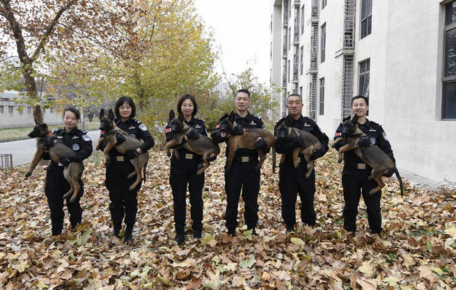 图片默认标题_fororder_FOREIGN201911211455000388142882620