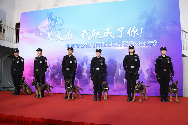 图片默认标题_fororder_FOREIGN201911211455000407818176028