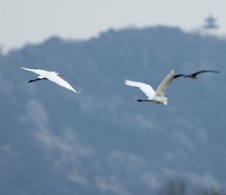 �٫n�G���e���ش����