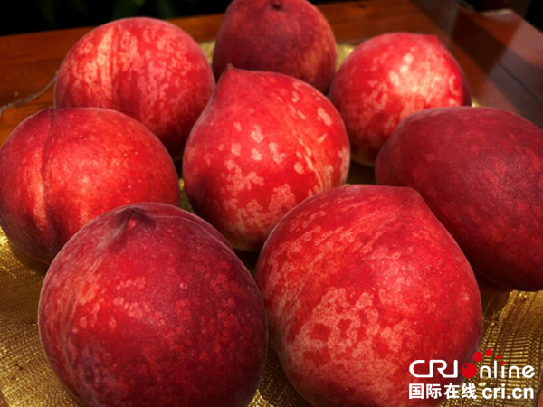 图片默认标题_fororder_潘家园农场脆桃又大又红