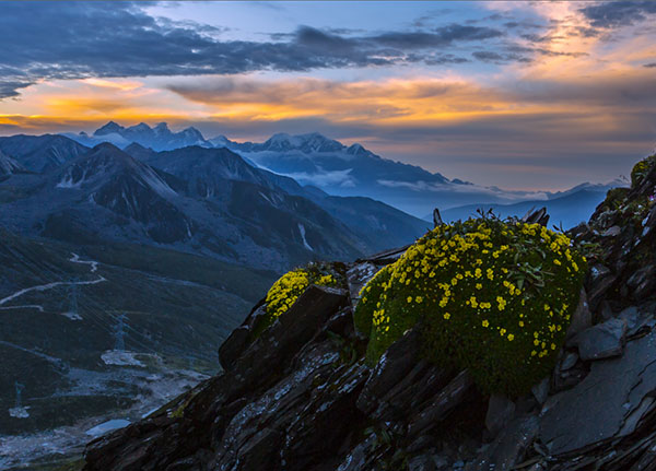 图片默认标题_fororder_4