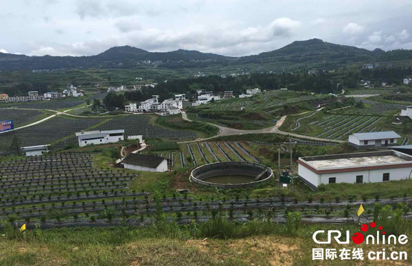 图片默认标题_fororder_仪陇百里产业示范带--摄影-余剑