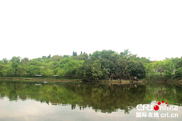 图片默认标题_fororder_洪哥山庄（井研县王村镇政府--供图）