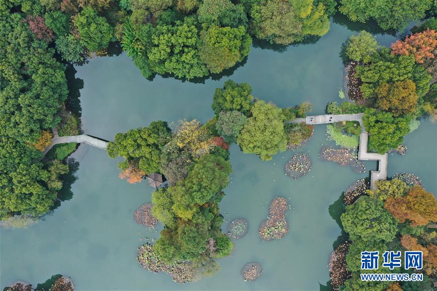 #新华网#初冬彩西湖