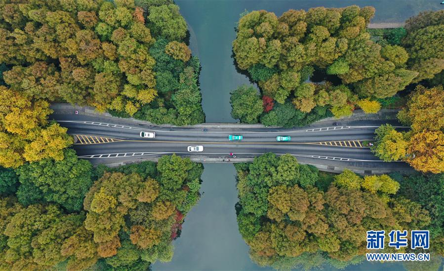 #新华网#初冬彩西湖