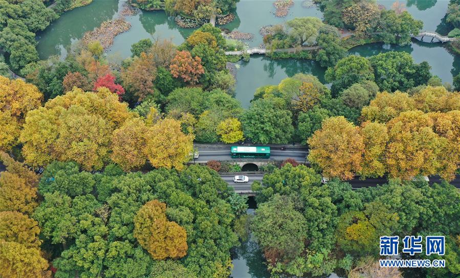 #新华网#初冬彩西湖