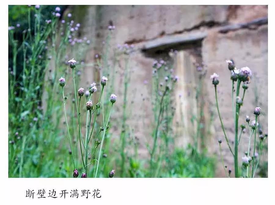 【中原文化-图片】商城县四楼湾 留住历史记忆的古村落