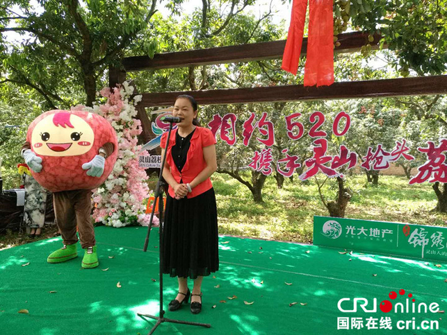 【唐已审】【原创】【八桂大地、八桂大地-钦州】【移动端】美味灵山荔枝引八方来客 【唐已审】【原创】【八桂大地、八桂大地-钦州】【移动端】美味灵山荔枝引八方来客
