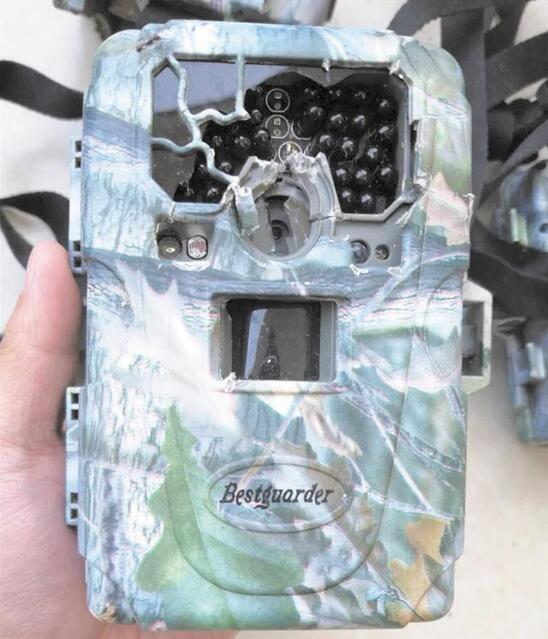 （焦点图，导航成都，移动端轮播图）时隔6年 野生大熊猫再现彭州白水河