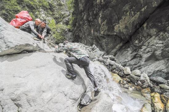 （焦点图，导航成都，移动端轮播图）时隔6年 野生大熊猫再现彭州白水河