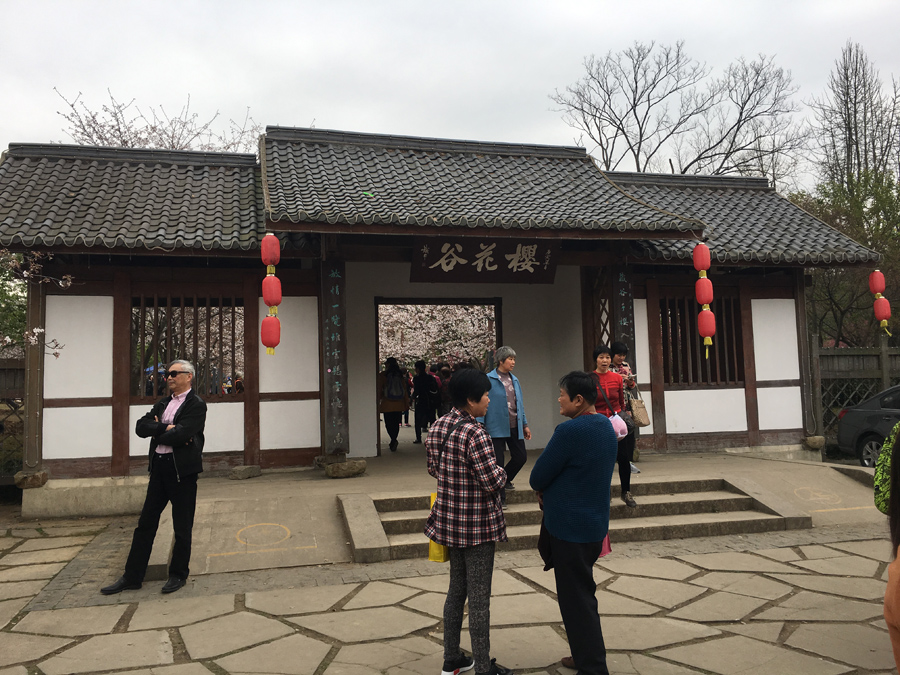 3月28日　無錫市鼋头渚公園    馬玥さん