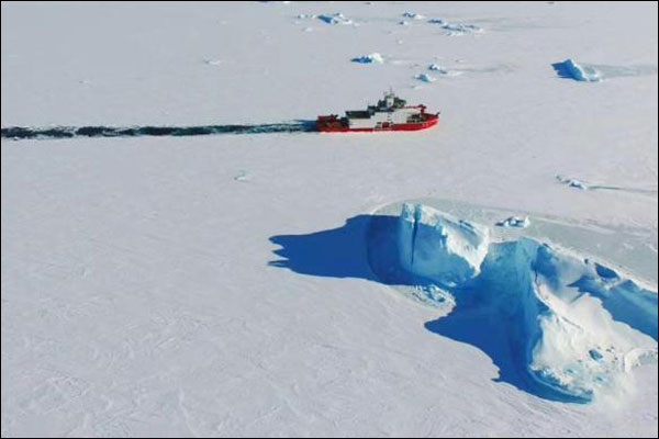 图片默认标题_fororder_20191125xlh7