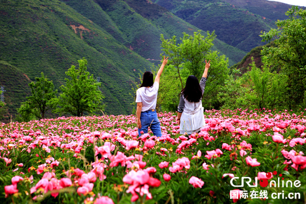 图片默认标题_fororder_2.游客在花丛中合照留影