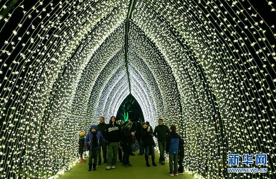 新华网：芝加哥举办节日灯光秀