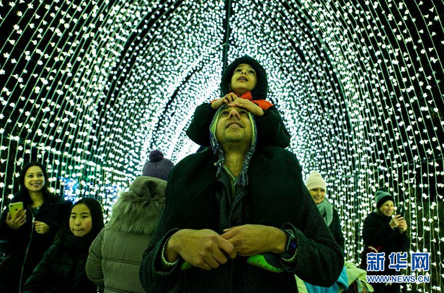 新华网：芝加哥举办节日灯光秀