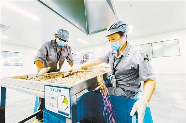 【园区开发 列表】中国中药(重庆)产业园从开工到投产只用一年