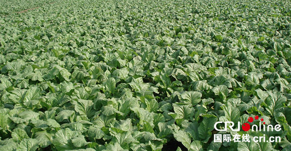 图片默认标题_fororder_1