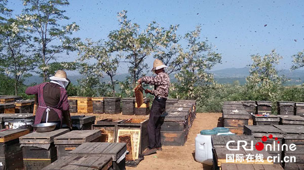 上演甜蜜传说 2018年中国糖果食品论坛在四