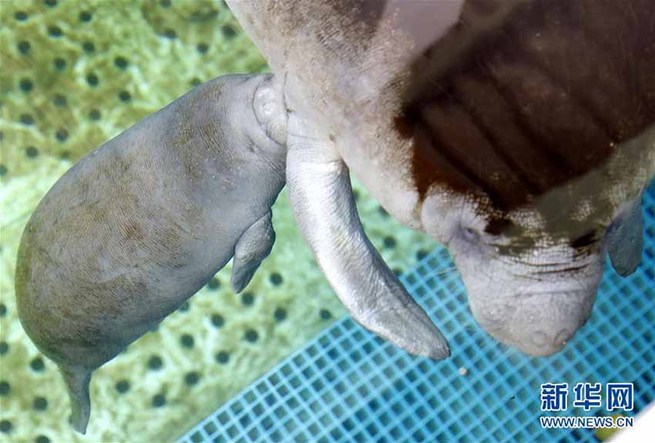 图片默认标题_fororder_2