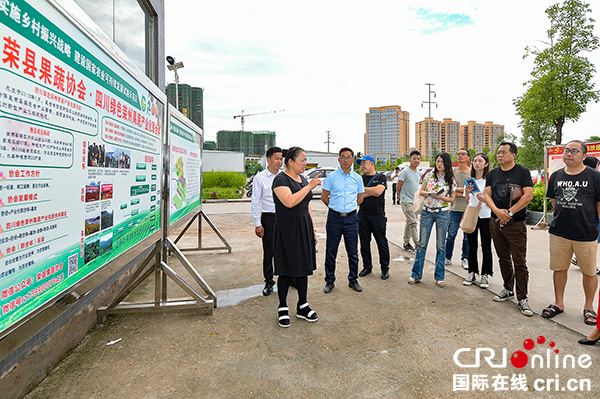 图片默认标题_fororder_荣县果蔬协会负责人虞桂兰（左二）向媒体记者介绍协会情况（摄影-廖志全）