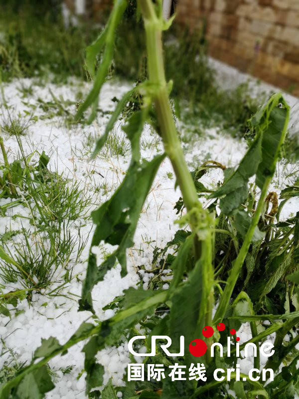 图片默认标题_fororder_ZSUfPFsGve2AbhMVAAK4BV3TlEA728