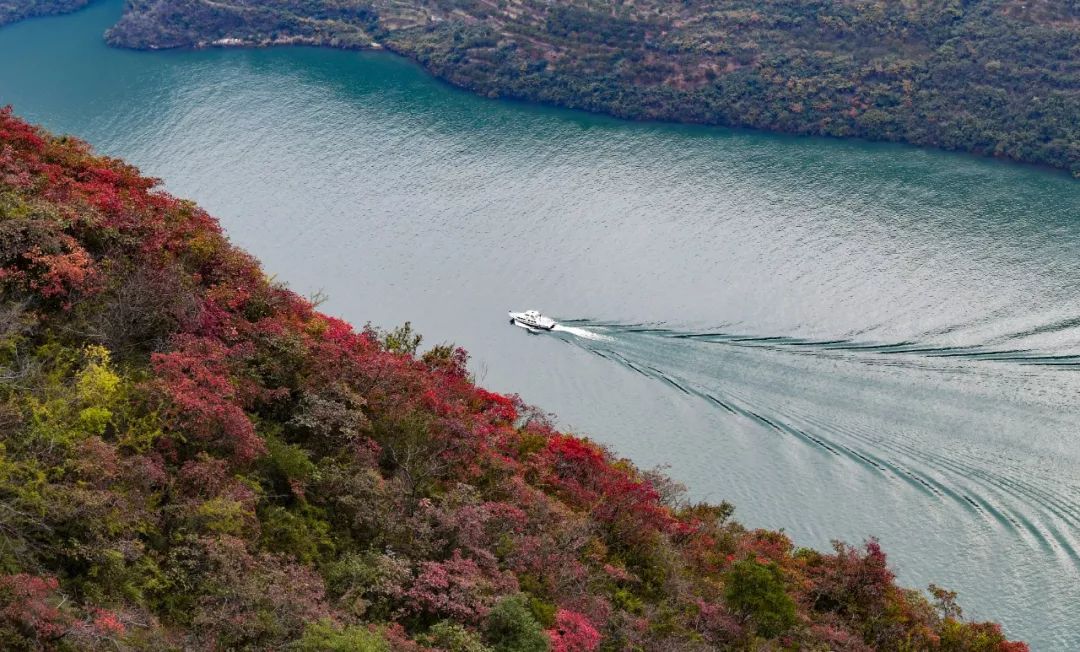 「新华社」这是初冬的神州，这是如画的中国！