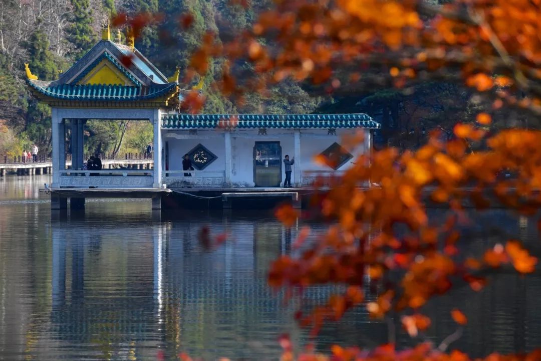 「新华社」这是初冬的神州，这是如画的中国！