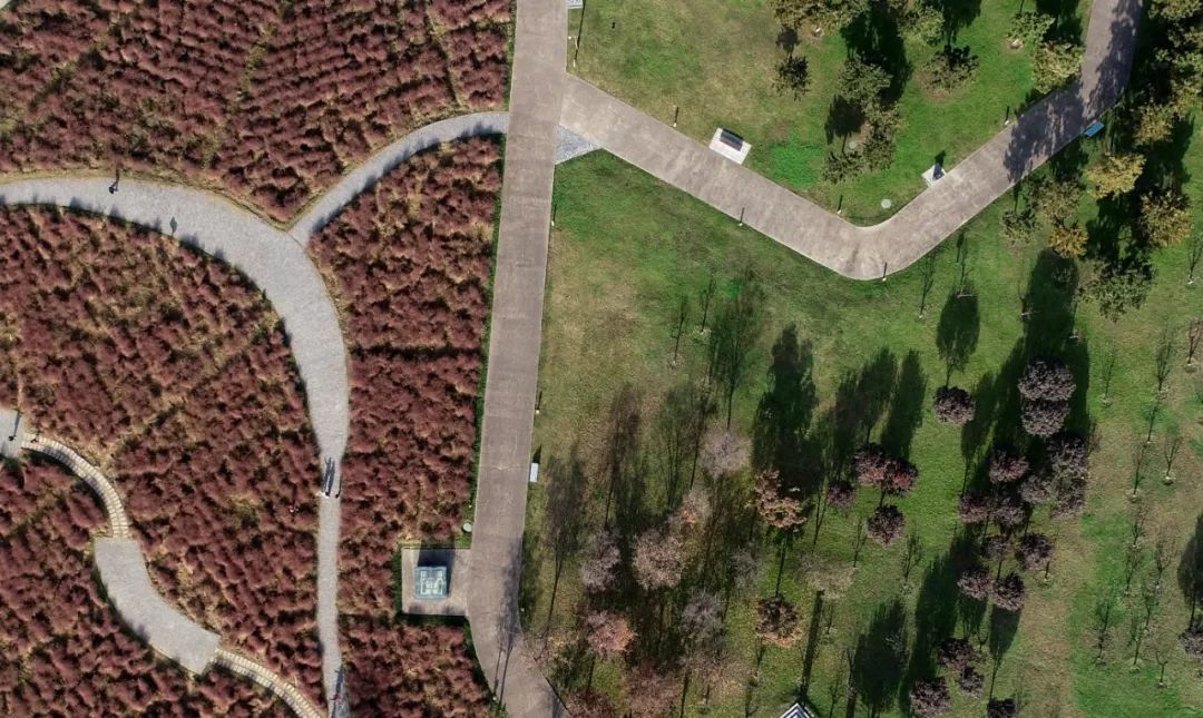 「新华社」这是初冬的神州，这是如画的中国！