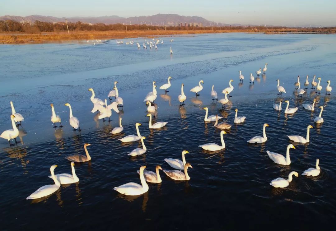 「新华社」这是初冬的神州，这是如画的中国！
