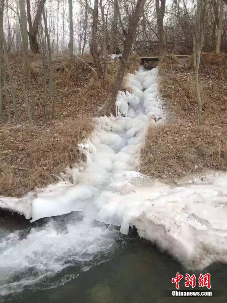 [中新社]“听说新疆缺老师，我想也没想就去了”