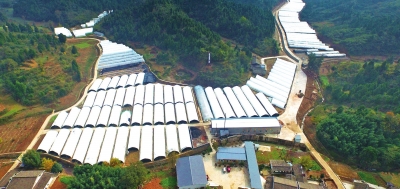 （扶贫列表，导航广元）广元利州：绘就高寒山区奔向小康的壮美画卷