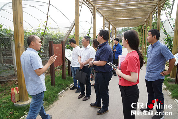 图片默认标题_fororder_1